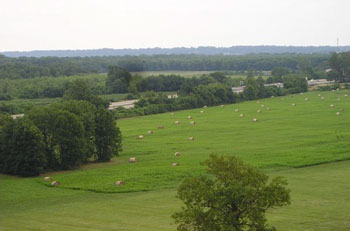field with bales, form the top of Monk's Mound