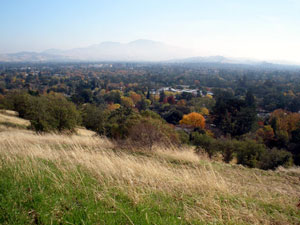 Dinosaur Hill Park Vista (small photo)