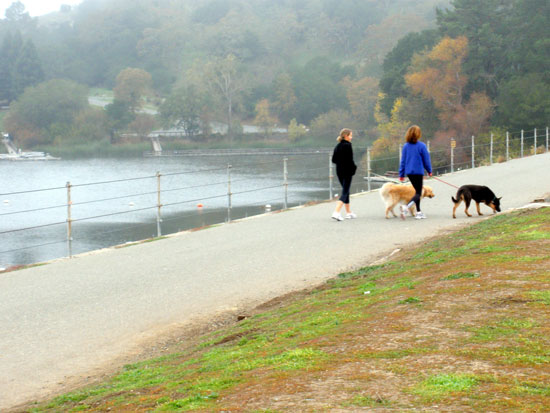Lafayette Reservoir (CA) walkers